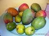 Types of Jamaican Mangoes