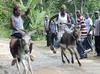 Donkey Race in Jamaica
