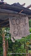 random sign in Jamaica - coal for sale