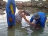 petting a 9 ft. nurse shark, behind the scenes!