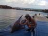 one on one with a dolphin!