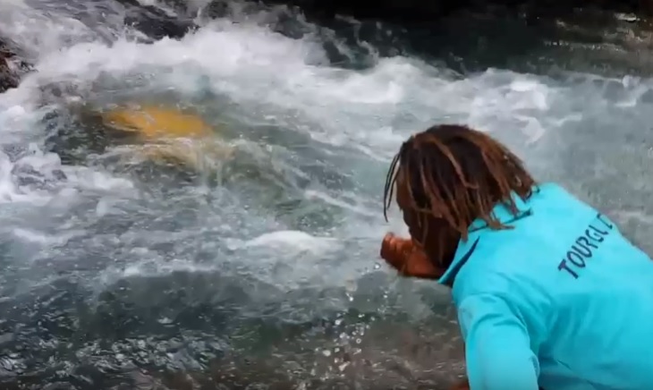 tour_guide_drinking_water_from_roaring_river_jamaica