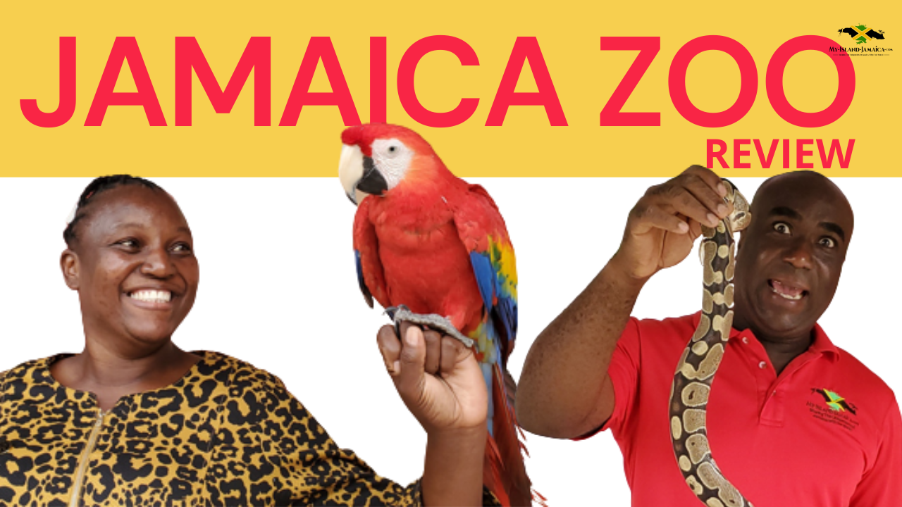 tourist attractions in jamaica -cornwall beach