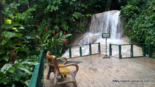 A Day At Turtle River Falls Gardens