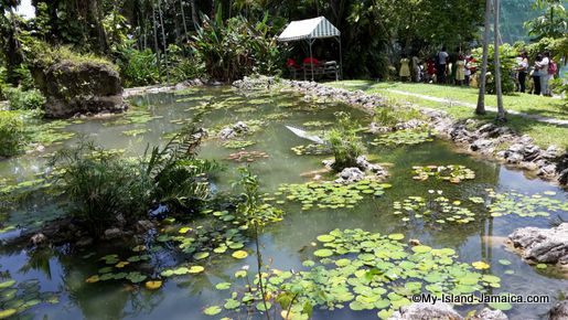 turtle_river_falls_jamaica_pond
