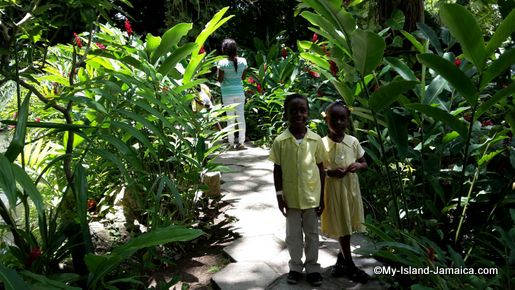 turtle_river_falls_jamaica_yapp_and_aliana_gayle