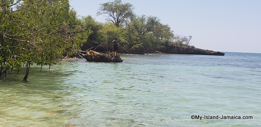 villa_in_jamaica_ivys_cove_fishing