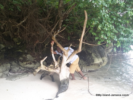 wellesley_gayle_on_monkey_island_in_portland