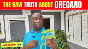 What Does Oregano Do For The Body