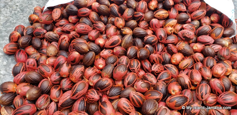 whole_nutmegs_in_mace