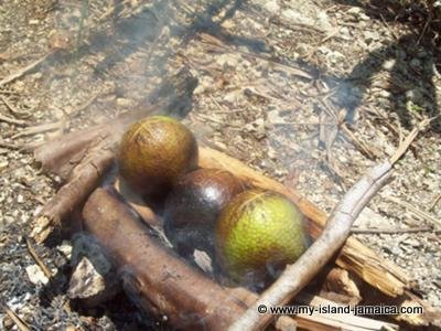 Roasting Breadfruit