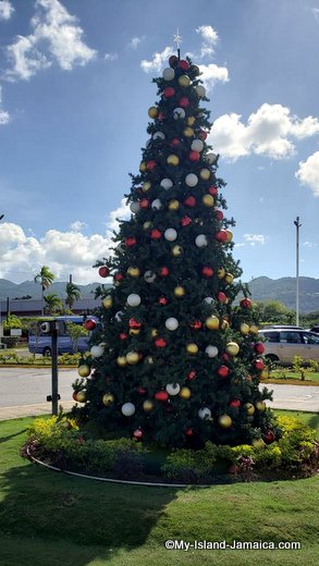 Christmas Tree in Jamaica