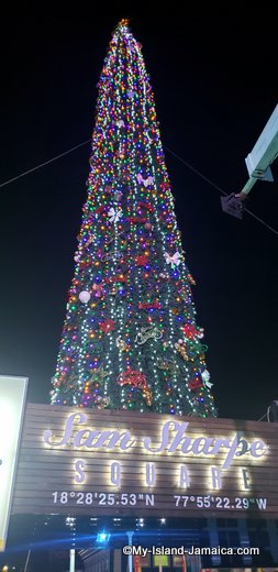 Christmas Tree Lighting