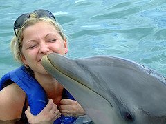 jamaica_swim_with_dolphins