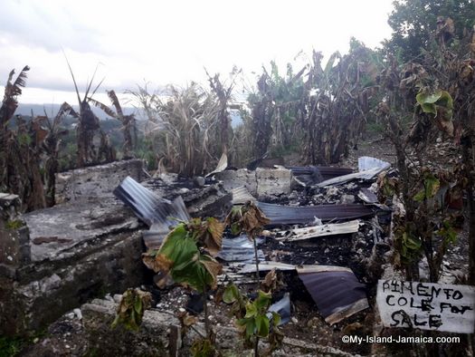 jamaican historian dies in fire