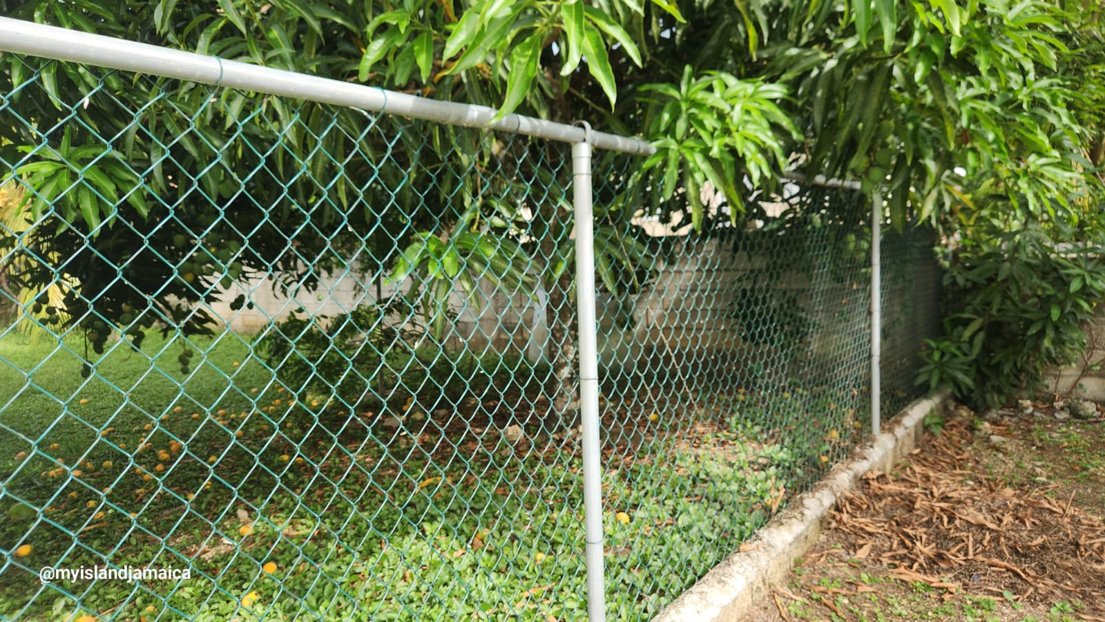 land fencing in jamaica