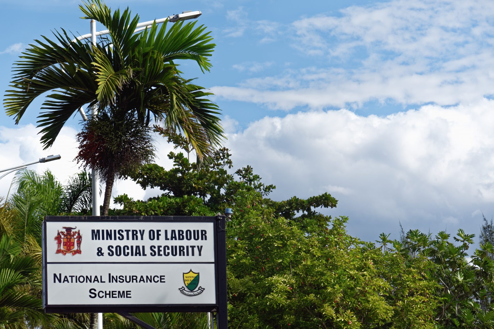 Survivors Pension Jamaica