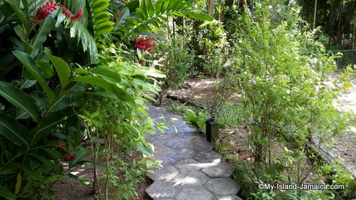 turtle_river_falls_garden_jamaica_review