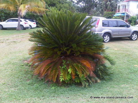 blue_waters_grill_scenery.